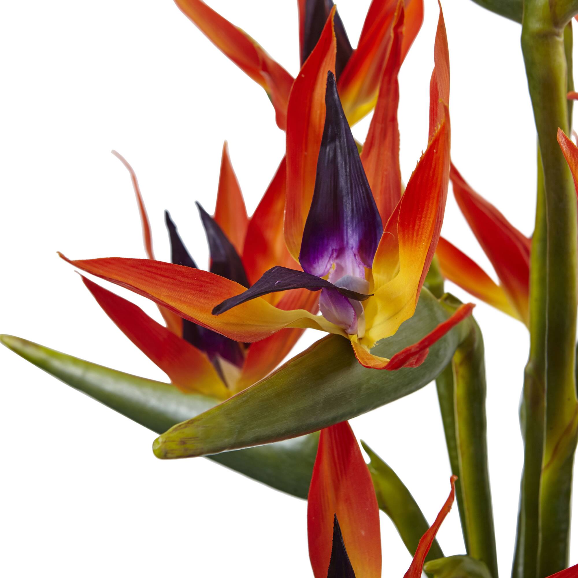 2.5ft. Bird of Paradise Flowers in Glass Cylinder Vase